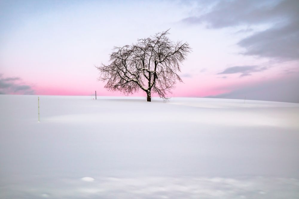 Photograph by Phùng Minh Long