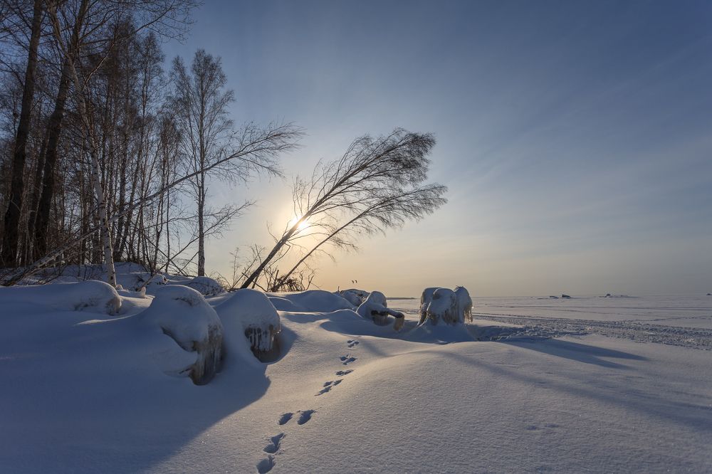 Photograph by Владимир