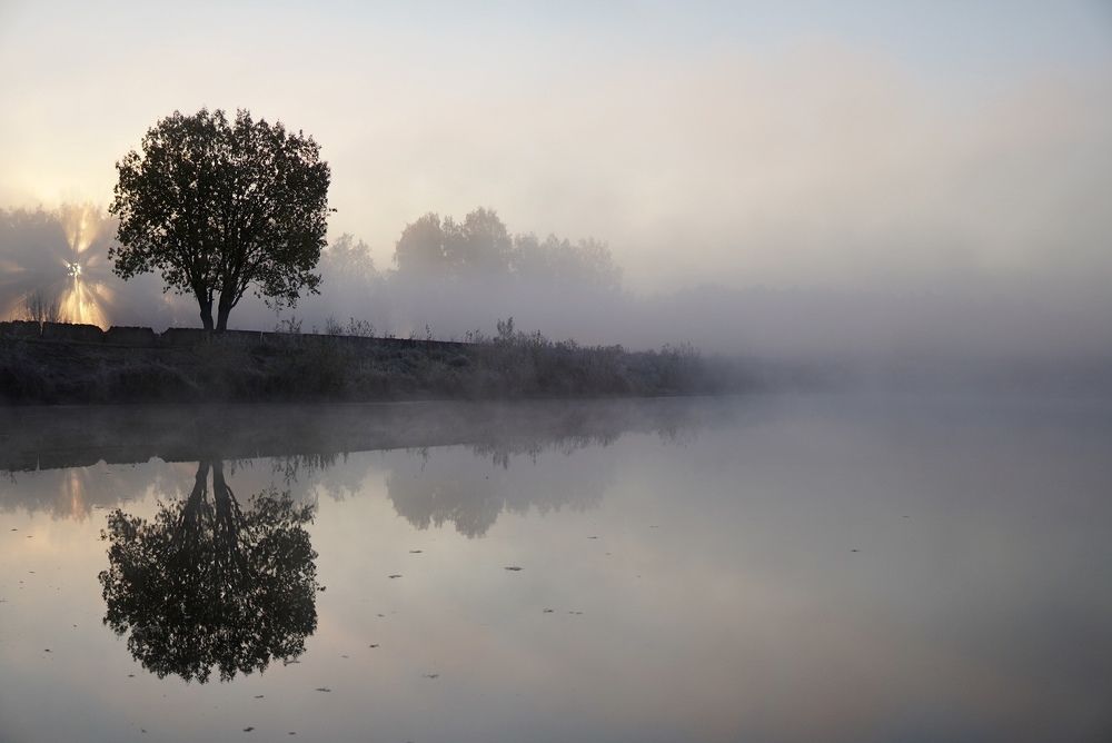 Photograph by Алёна