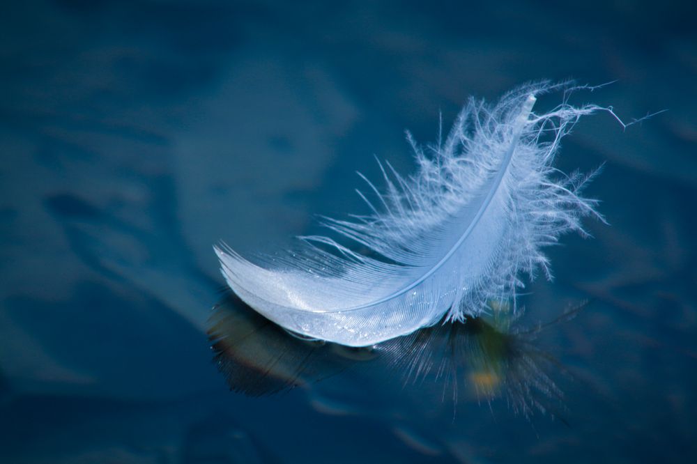 Photograph by Галина Литвинова