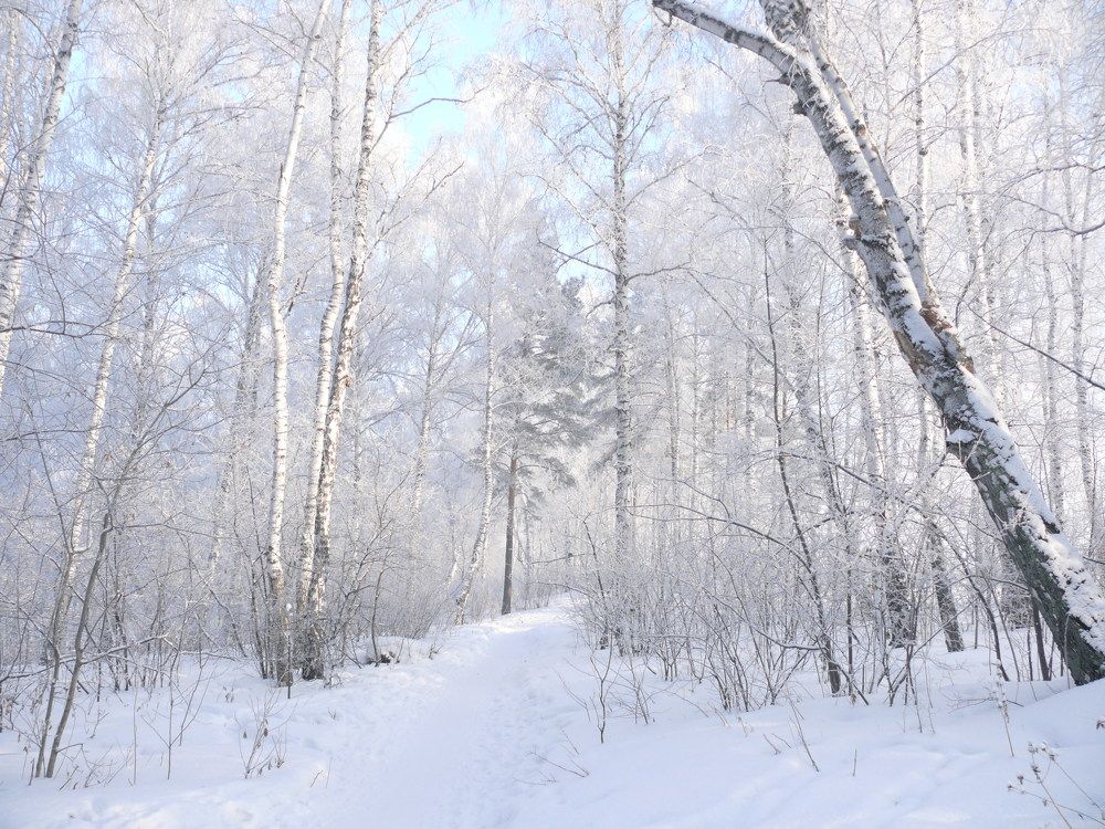 Photograph by Людмила Федорчак