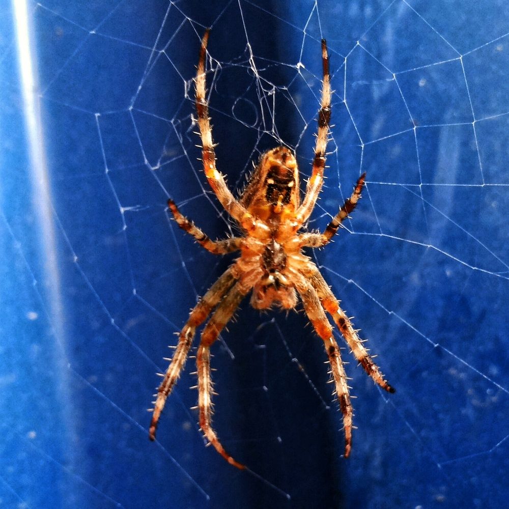 Photograph by Сергей Жигульский