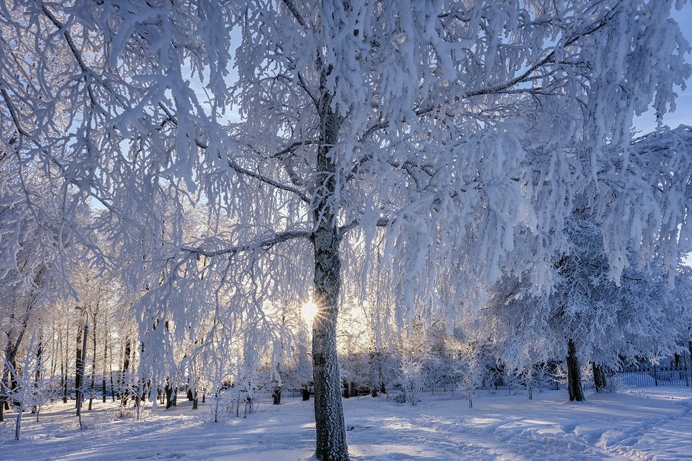 Photograph by Галина Юдина