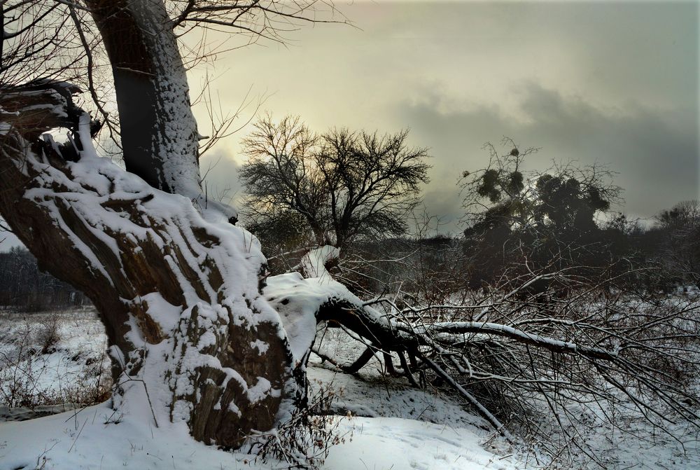 Photograph by Юрий Соловей