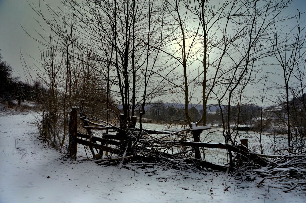 Photograph by Юрий Соловей