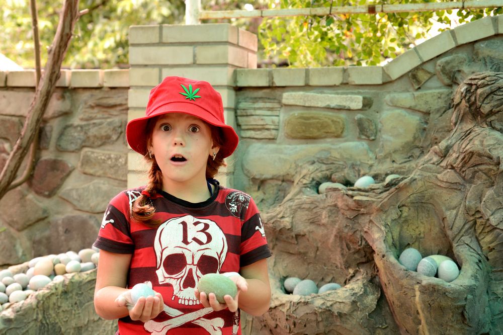 Photograph by Александра Ватутина