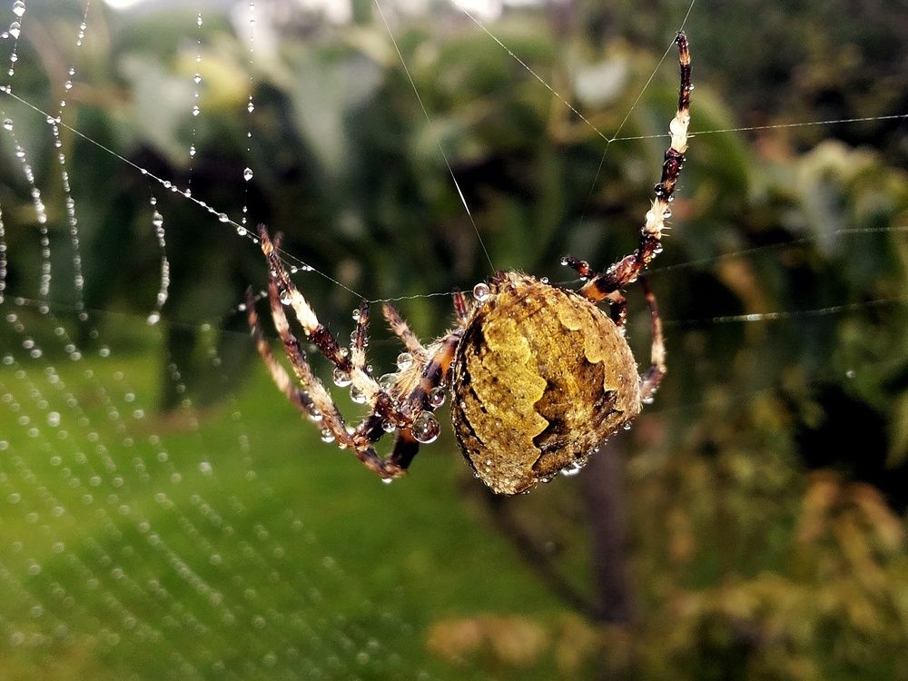 Photograph by Сергей Жигульский