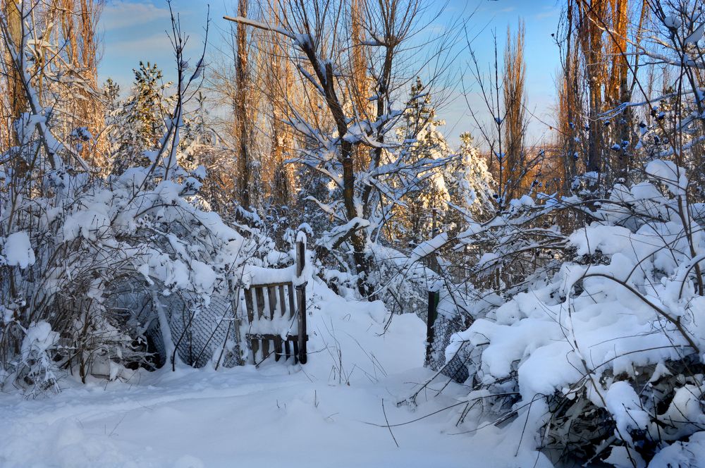 Photograph by Юрий Соловей