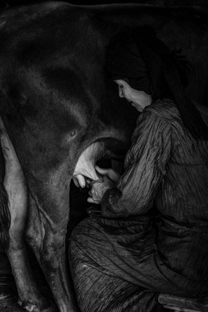 Photograph by Zakaria chelidze