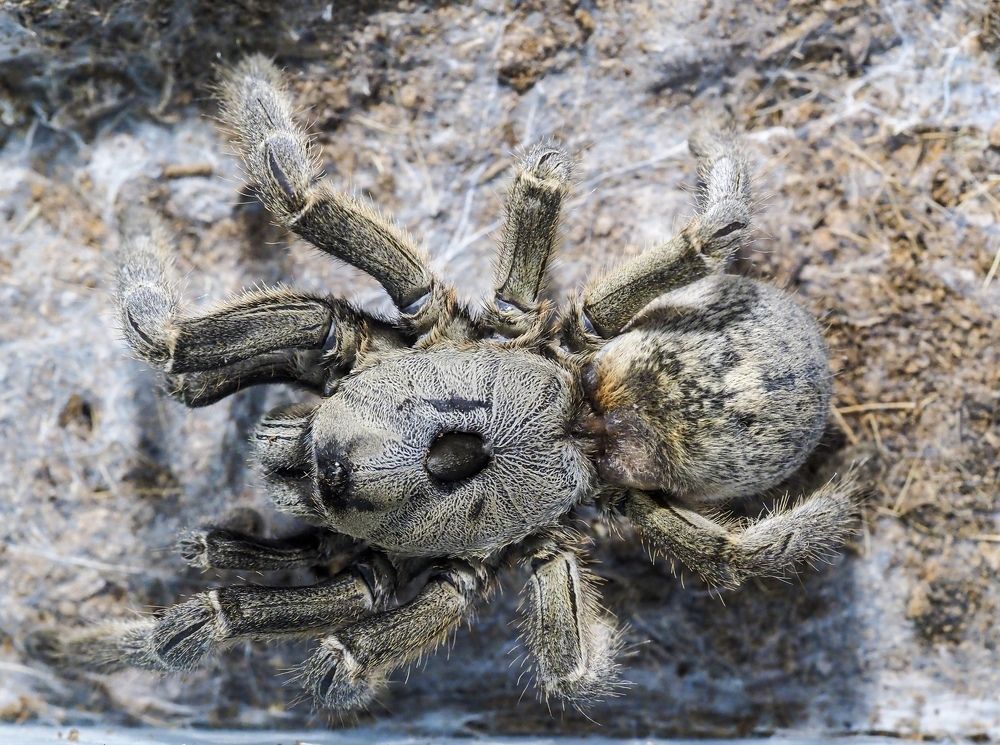 Photograph by Алексей Большаков