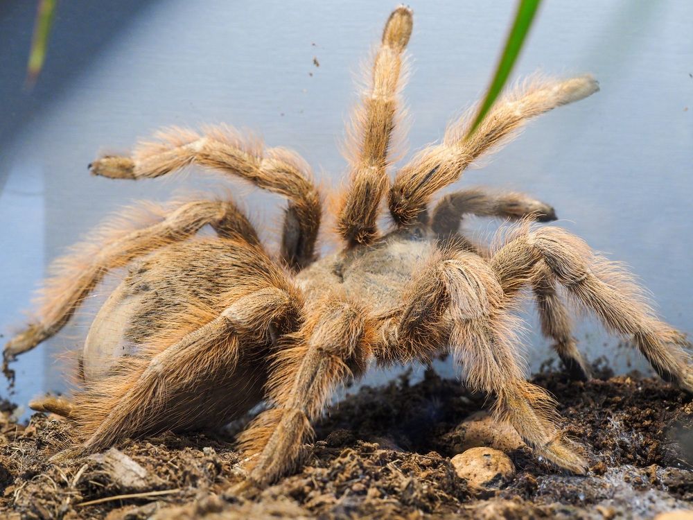 Photograph by Алексей Большаков