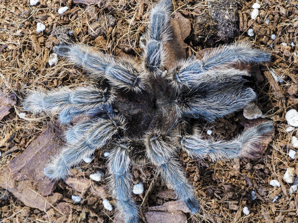 Photograph by Алексей Большаков