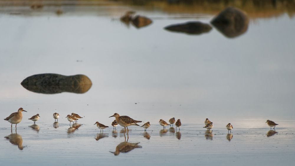 Photograph by Александра Пилипенко