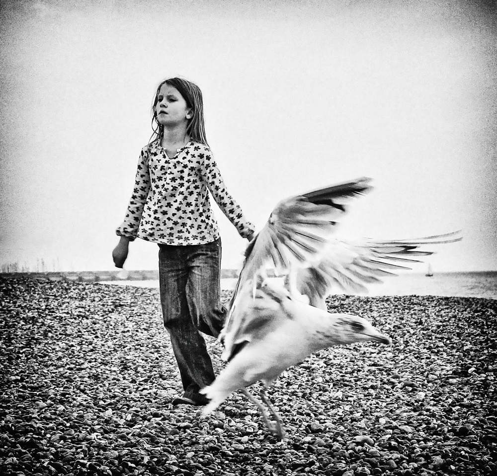 Фотография автора Елена Лаврова