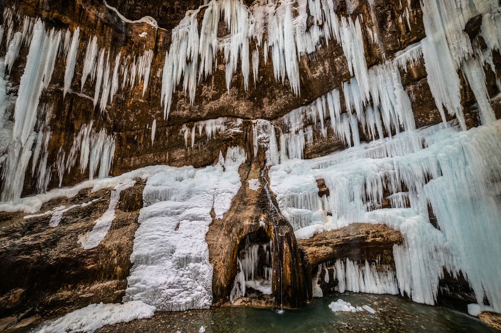 Большой органный зал.