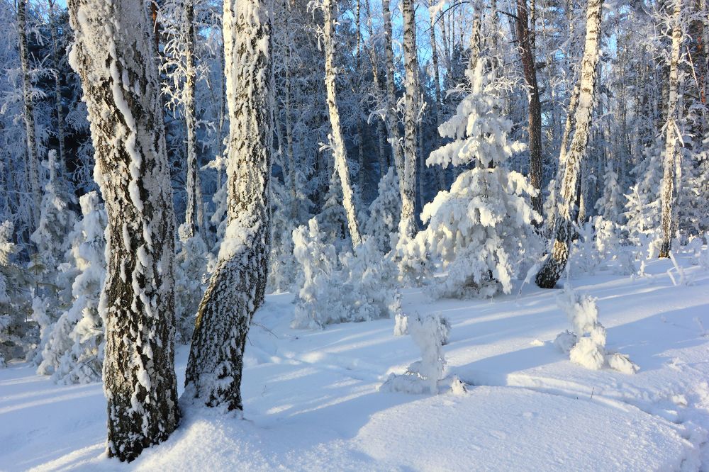 Фотография автора Кухта Мария