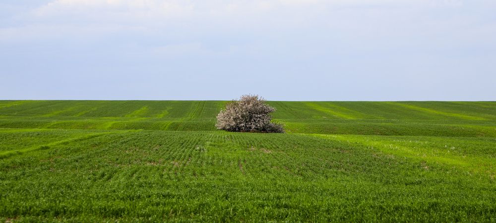 Photograph by Максим Курочкин