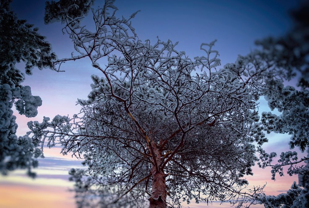 Photograph by Ольга Попова