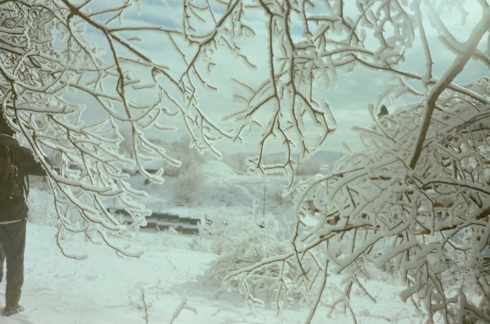 Photograph by Дмитрий Сосна