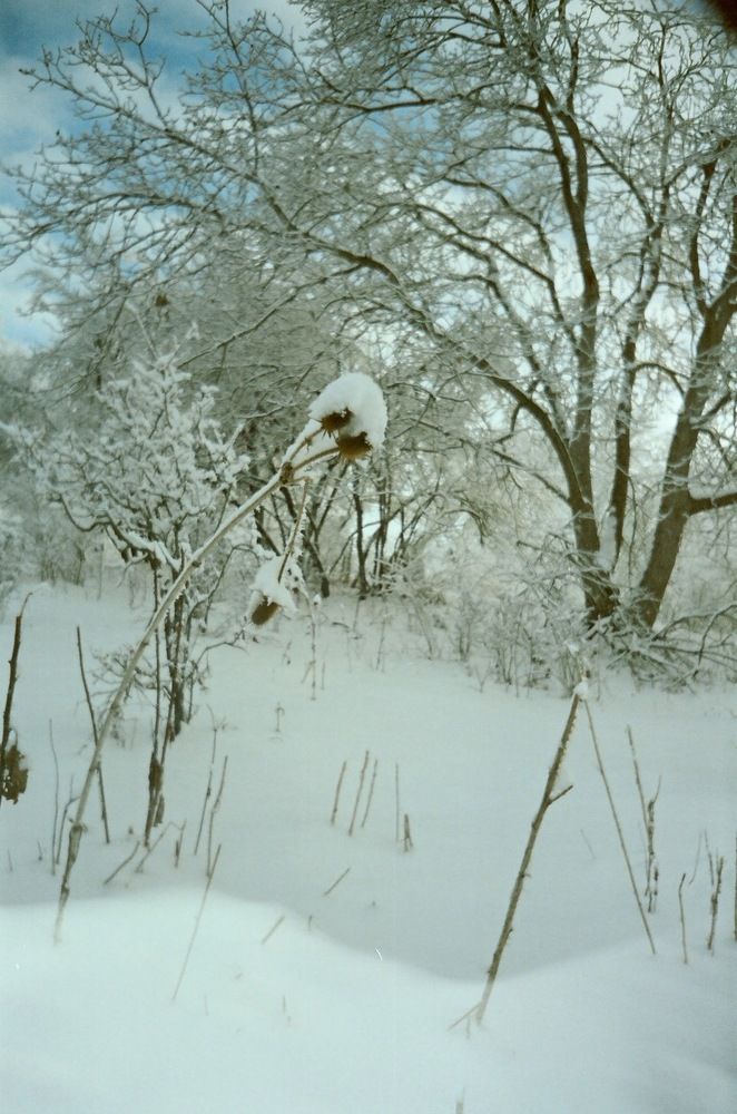 Photograph by Дмитрий Сосна