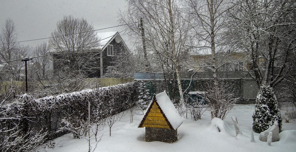 Photograph by Владимир  Асриян