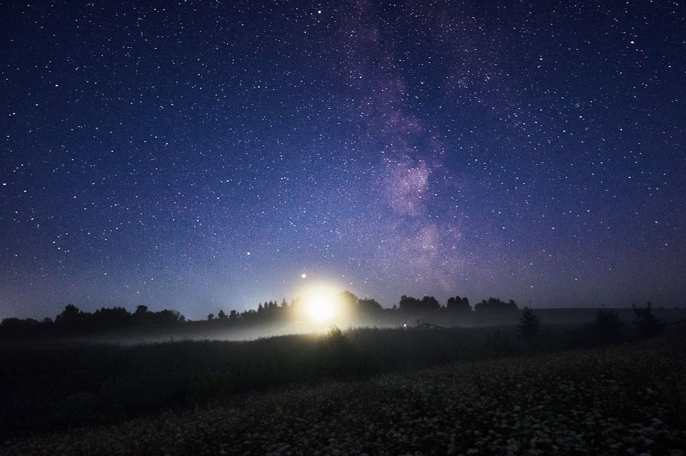 Photograph by Дмитрий Леонтьев