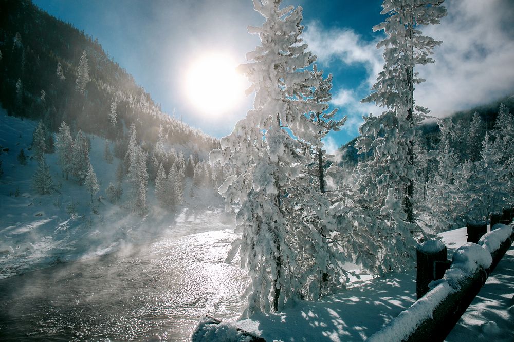 Photograph by Olena Anderson