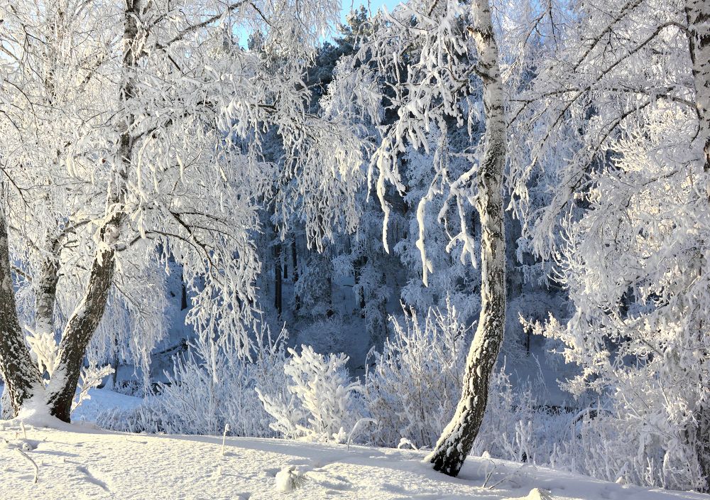 Фотография автора Кухта Мария