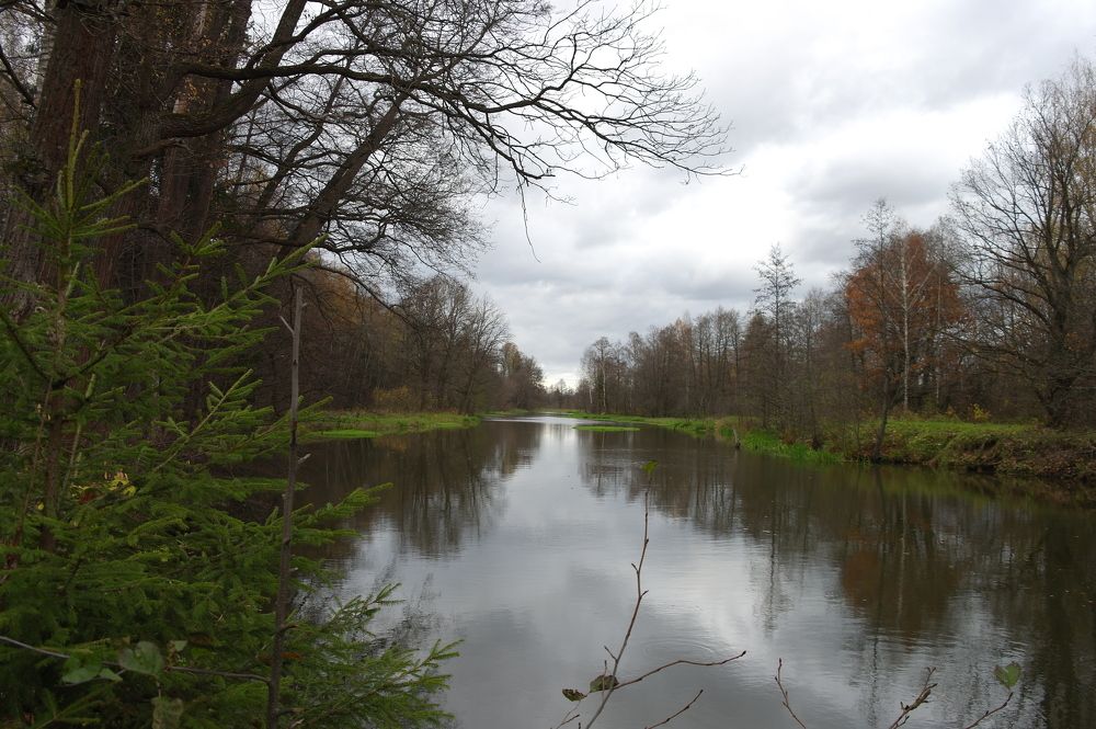 Photograph by Ирина Дронова