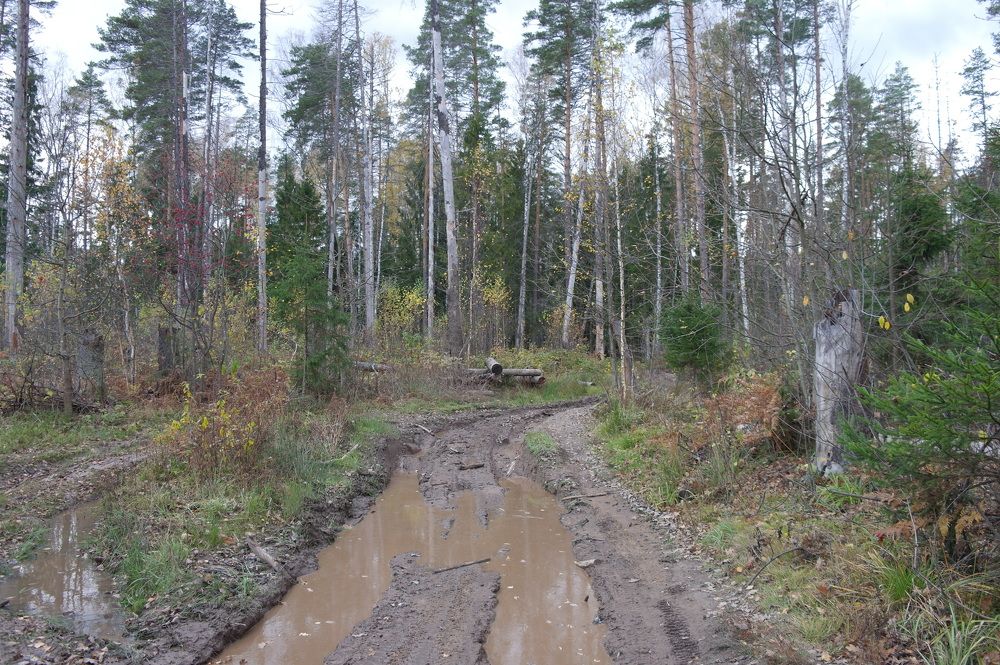 Photograph by Ирина Дронова