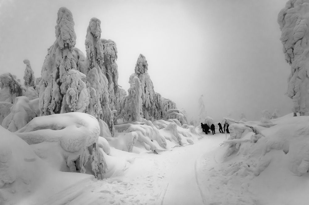 Photograph by Евгений Кузнецов