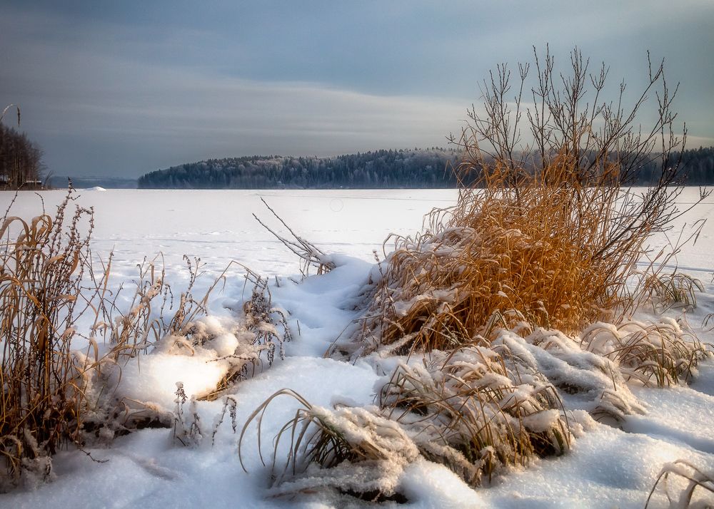 Photograph by Евгений Кузнецов