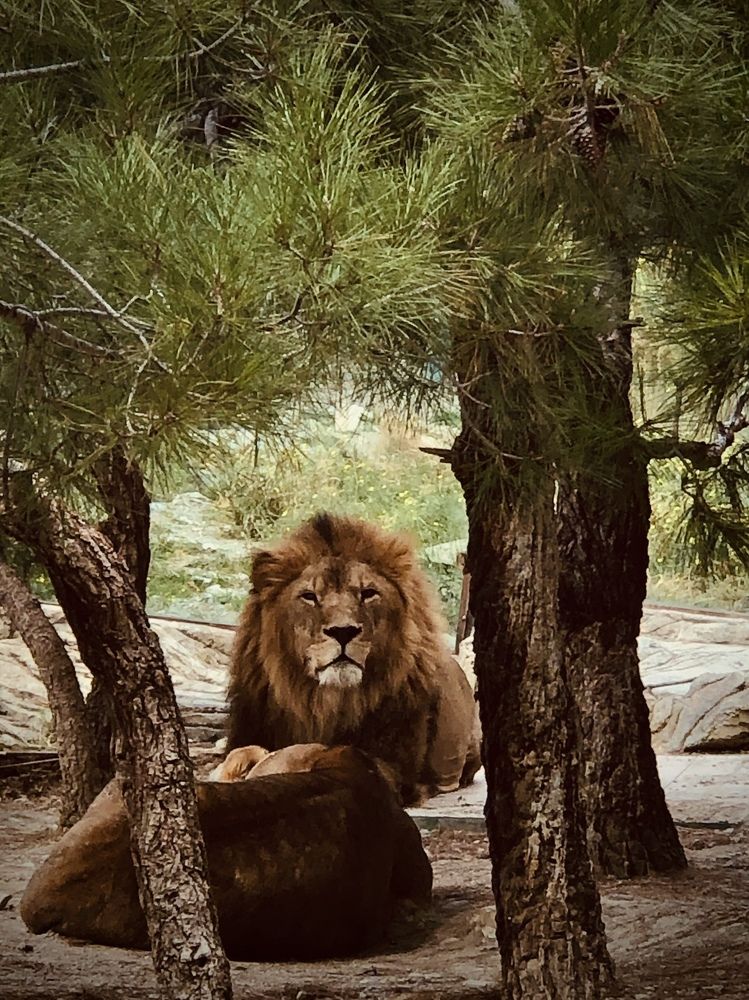 Photograph by Alexandr Tulinov