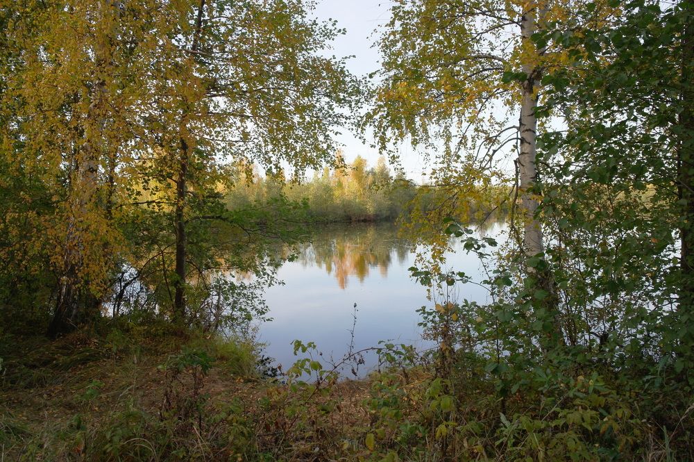 Photograph by Ирина Дронова