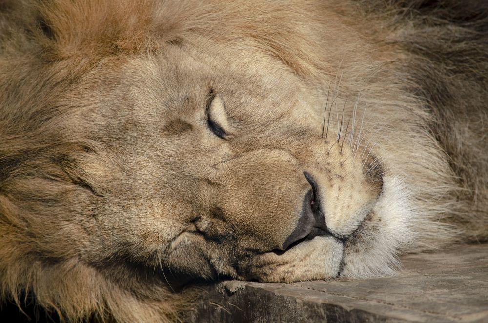 Фотография автора Kristina