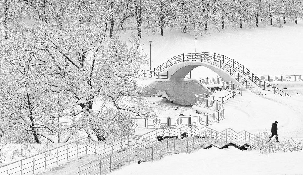 Фотография автора Елена Лаврова