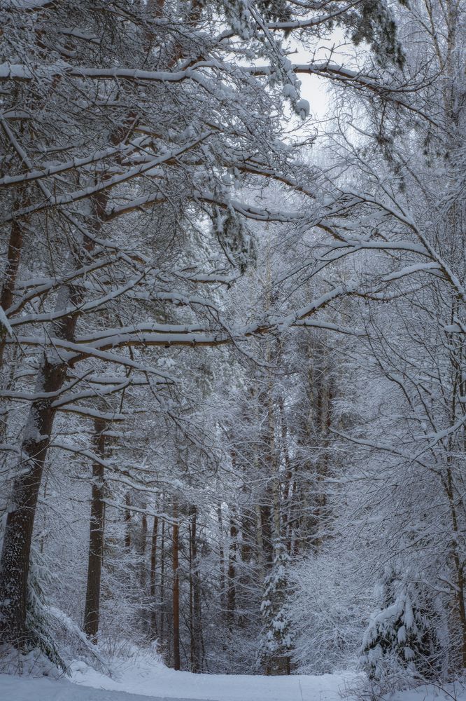 Photograph by Валерия Бахолдина