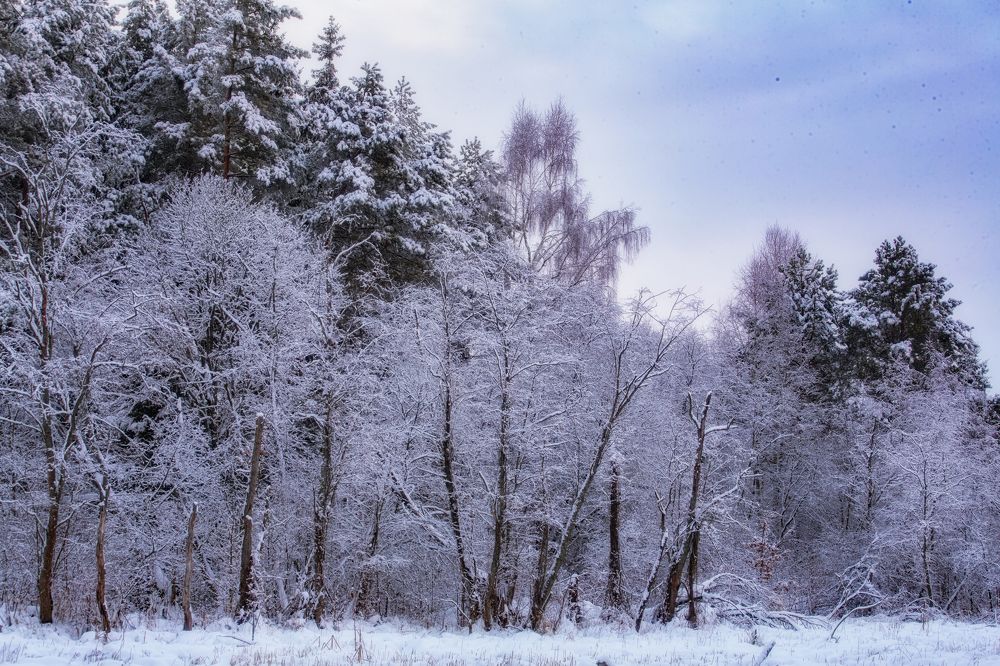 Photograph by Валерия Бахолдина