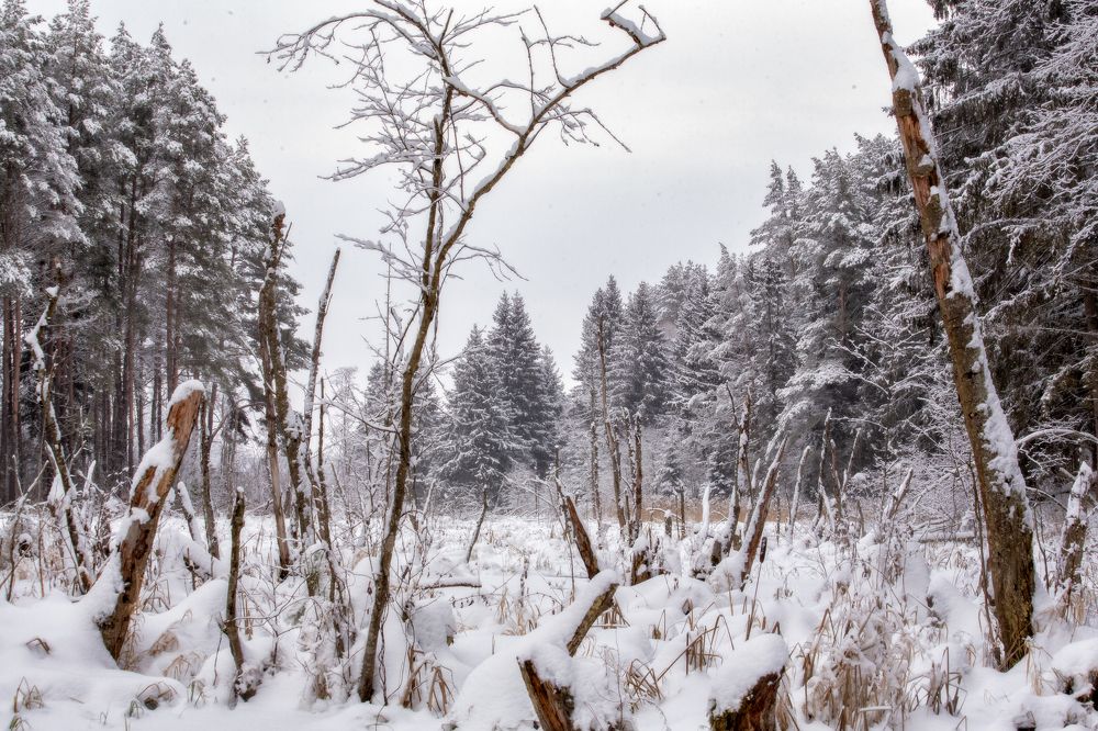 Photograph by Валерия Бахолдина