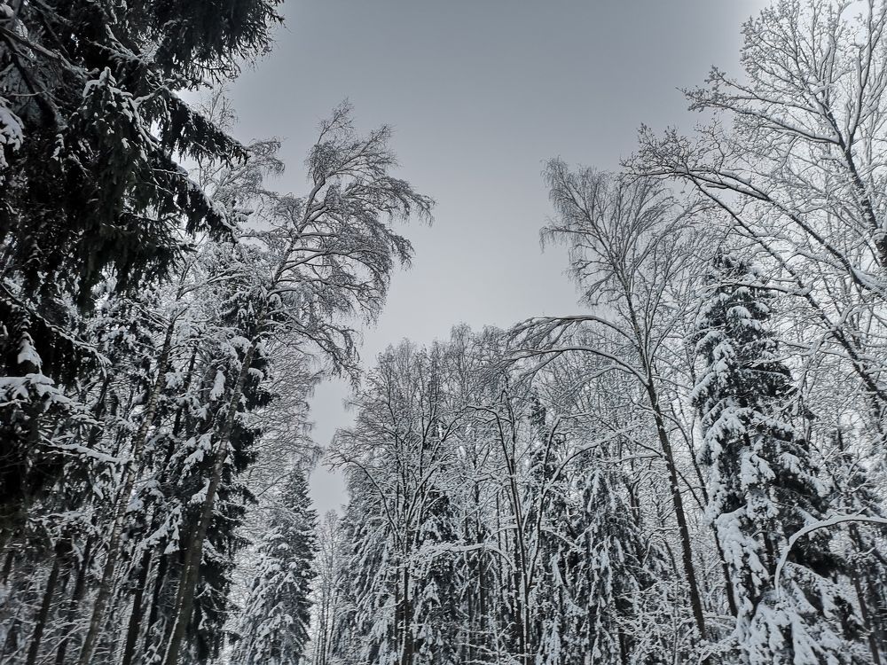 Photograph by Екатерина