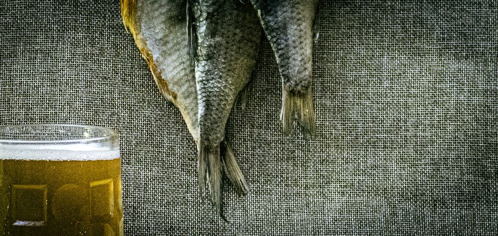 Photograph by Alex Kalpus