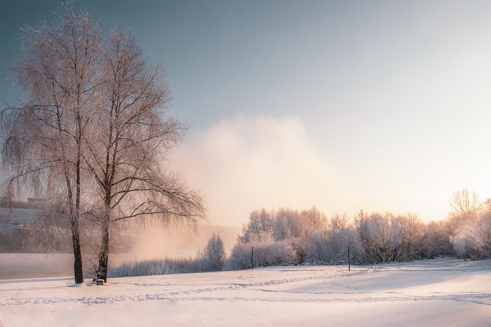 Photograph by Светлана Гущина