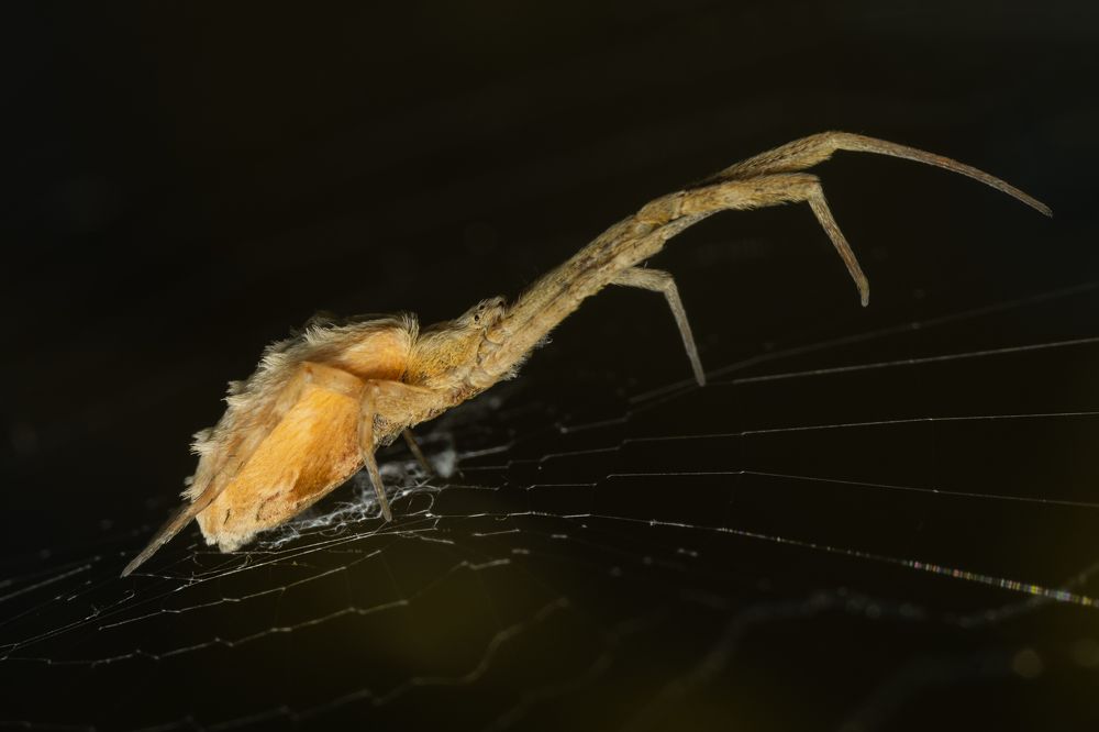 Photograph by Денис Ветренко