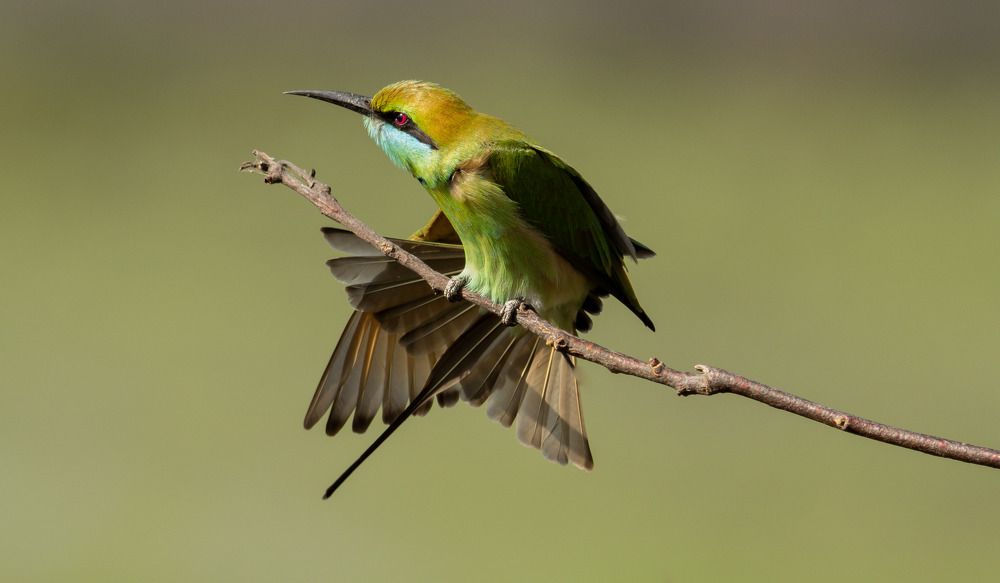 Photograph by Manjunath S