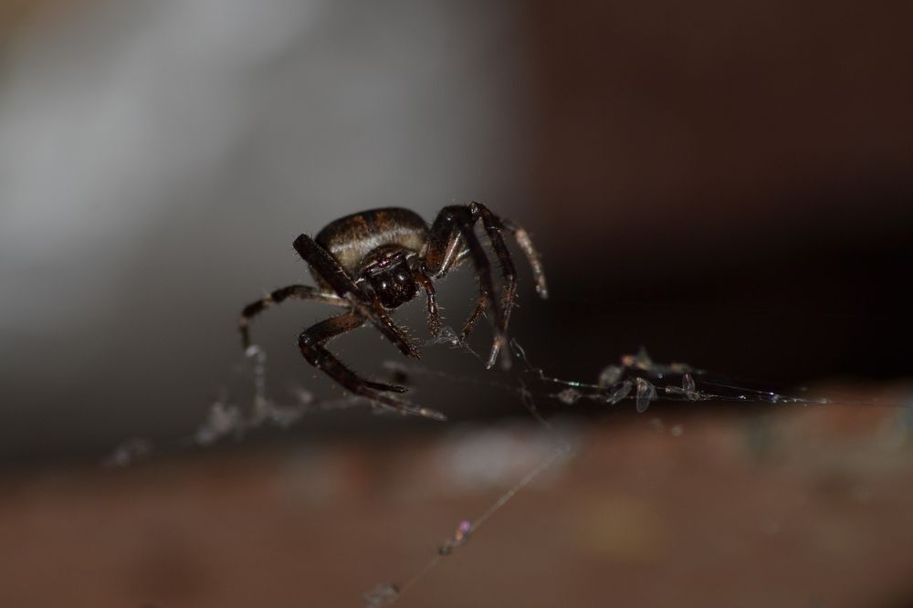 Photograph by Алексей Литвинов