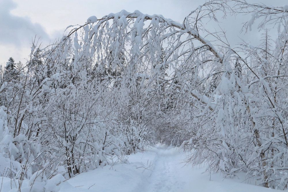 Photograph by Aleksandr Larionov