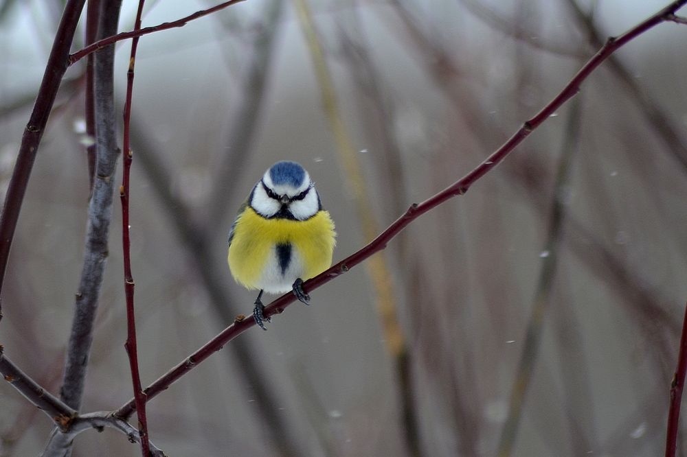 Photograph by Алексей Литвинов