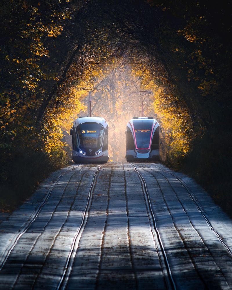 Trams in the park