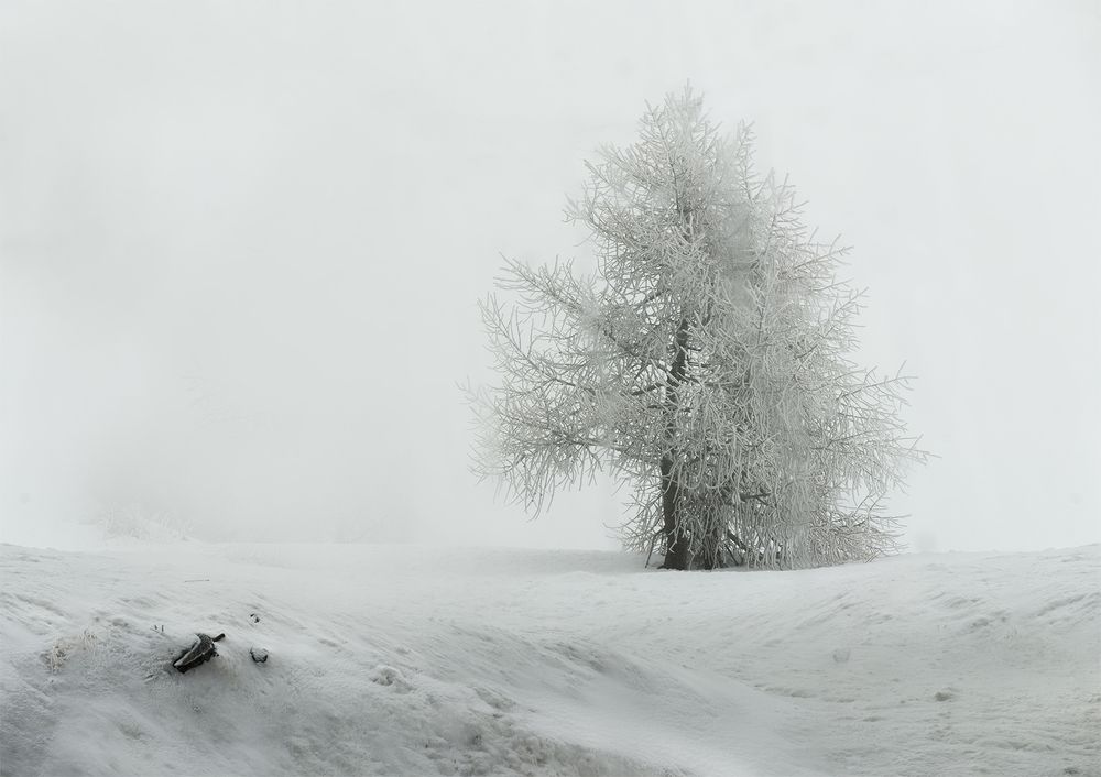 Фотография автора NORMA SÁENZ