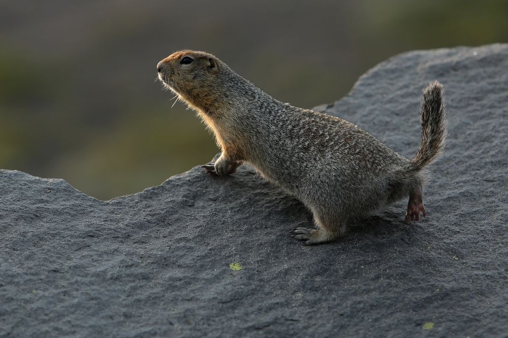 Photograph by Александр Масенко